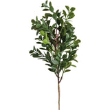 Small Boxwood Floral Pick