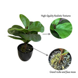 Potted Artificial Fig Plant