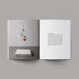 Book of Romans | Alabaster Bible