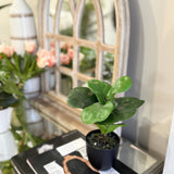 Potted Artificial Fig Plant