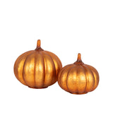 Dylan Pumpkin Decor