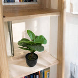 Potted Artificial Fig Plant