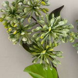 Berry Fruit Angelica 24" Green White
