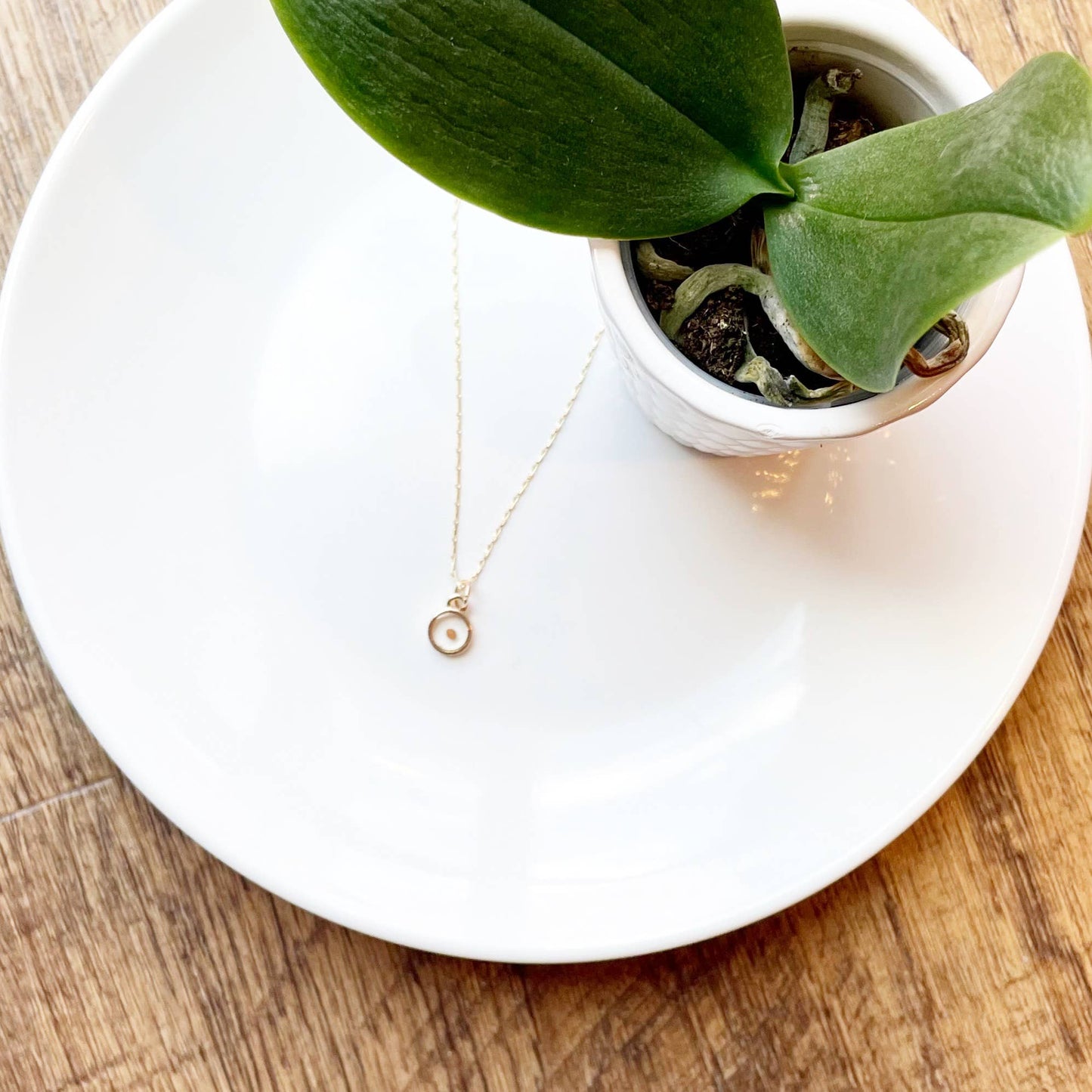 Mustard Seed Necklace | Multiple Colors