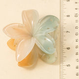 Large Gradient Flower Hair Claws