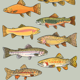Trout Weatherproof Sticker Sheet