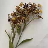 Brown Daphne Spray
