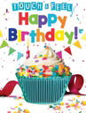 Happy Birthday Touch and Feel Book