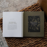 In Christ Alone: A Study on the Book of Romans - Men's