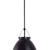 Loft Modern 1-Light Black Metal Pendant Light