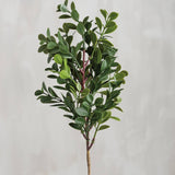 Small Boxwood Floral Pick