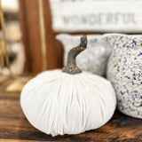 White Velvet Pumpkin