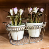 Market Blooms Basket with Pots