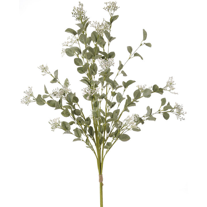 seeded eucalyptus plant 34.5" Seeded Eucalyptus Bundle