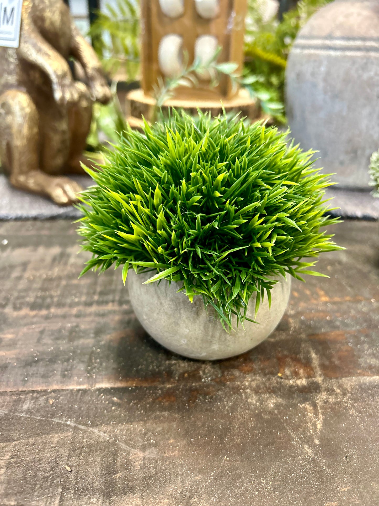 Light Grass Pot