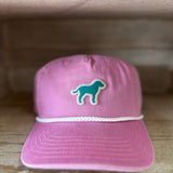 Teal Hound Youth Hat