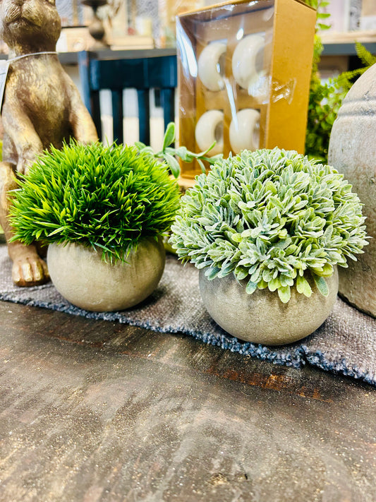 Light Grass Pot