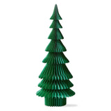 Evergreen Paper Tree