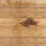 Brown Eva Grass Spray