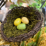 Early Spring Nest