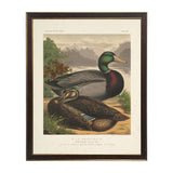 Rouen Ducks Bookplate Framed Artwork