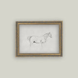Horse Sketch Framed Antique Art