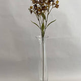 Brown Daphne Spray