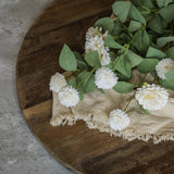 Cream Mum Bush | 21"