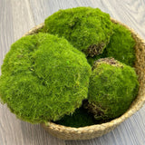 Pack of 6-Large Lifelike Mixed Sizes Artificial Moss Ball
