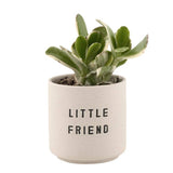 Ceramic Planting Pots - Set of 2: Material