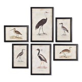 Waterfowl Gallery Framed Prints, 6 Styles