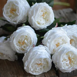 English Austin Cabbage Rose Stem | Pure White