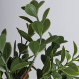 Small Boxwood Floral Pick