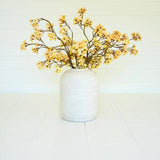 Yellow Succulent Floral Stem