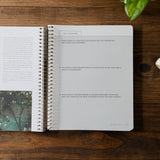 Come and See | An Invitation to Know and Trust Jesus More than Ever Before