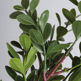 Small Boxwood Floral Pick