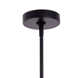 Loft Modern 1-Light Black Metal Pendant Light