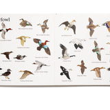 The Big Book of Hunting