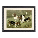 Basset Hounds Framed Artwork