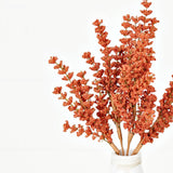 Pumpkin Millet Berry Heather Bush