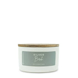 Silver Birch | 10 oz Statement Candle