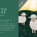 From Eden to Bethlehem, Kids' Board Book