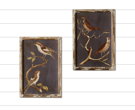 Birds On Branches Framed Prints