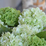 Hydrangea Real Touch Stem