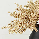Cream Millet Berry Bush