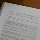 Christ in All of Scripture Bible Study