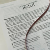 Light for Life NASB Study Bible (Blush Bouquet)