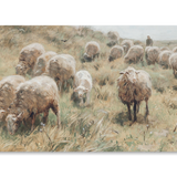 Sheep Wall Decor