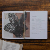 Eden to Eternity | Spiral Multiple Volumes Bible Study