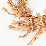 Wreath Herb Leaves Tea Stain